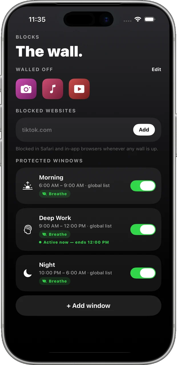 The Blocks screen: walled-off apps, a blocked-websites field, and three protected windows